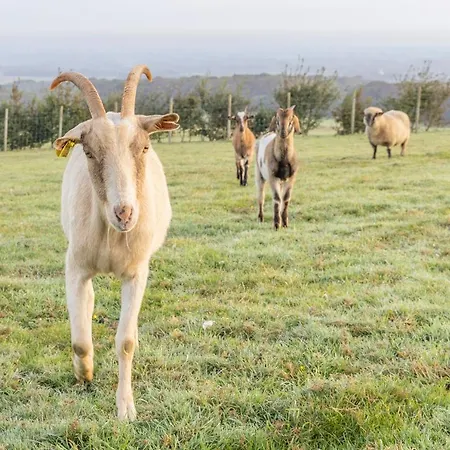 La Ferme Du Grand Air * Fiennes