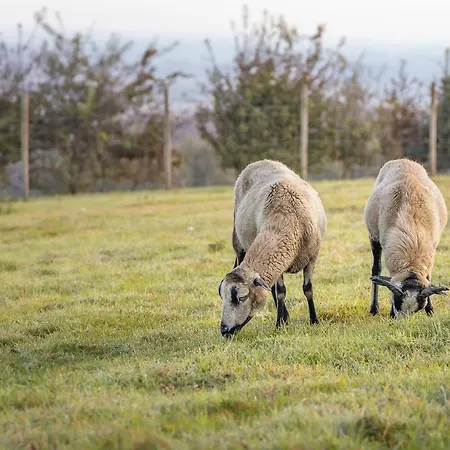La Ferme Du Grand Air