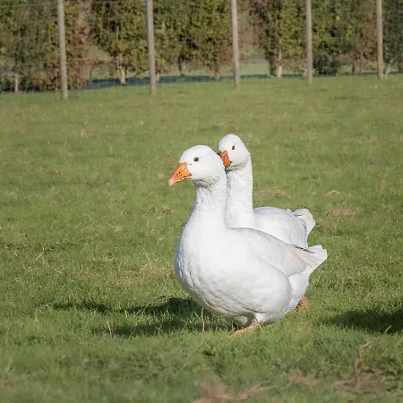 招待所 La Ferme Du Grand Air